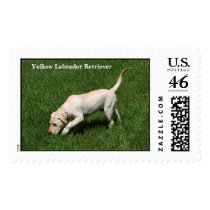 Yellow Labrador Retriever postage by gfrbf3761 Yellow Labrador Retriever postage