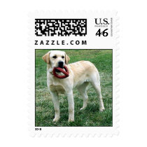 Yellow Labrador Retriever postage