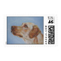 Yellow Labrador Retriever postage stamp