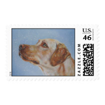 Yellow Labrador Retriever postage stamp