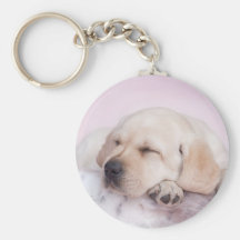 Yellow labrador retriever puppy key chain