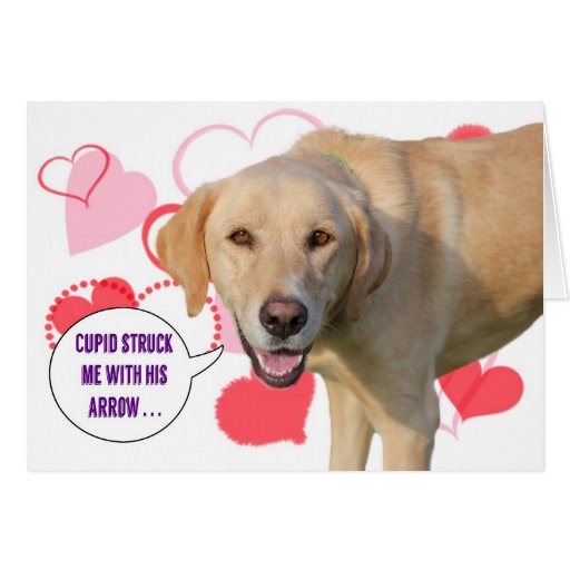 Yellow Labrador Retriever Valentine's Day Card | Zazzle