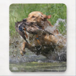 Yellow Labrador Retriever with duck mousepad mousepads