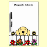 Yellow Labrador watching you dry erase boards