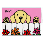 Yellow Labrador watching you Greeting Cards