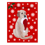 Yellow Labrador with Santa Hat Snowflake Post Card