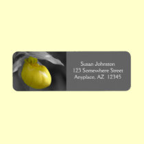Yellow Lady Slipper Black White Flower Address Lab labels
