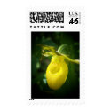 Yellow Lady Slipper postage