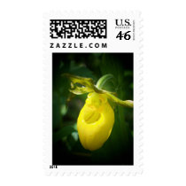 Yellow Lady Slipper postage by nmpics Yellow Lady Slipper postage