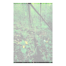 Yellow lady's slipper custom stationery
