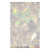 Yellow lady's slipper custom stationery