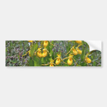 Yellow Ladyslipper Orchid flowers Bumper Sticker