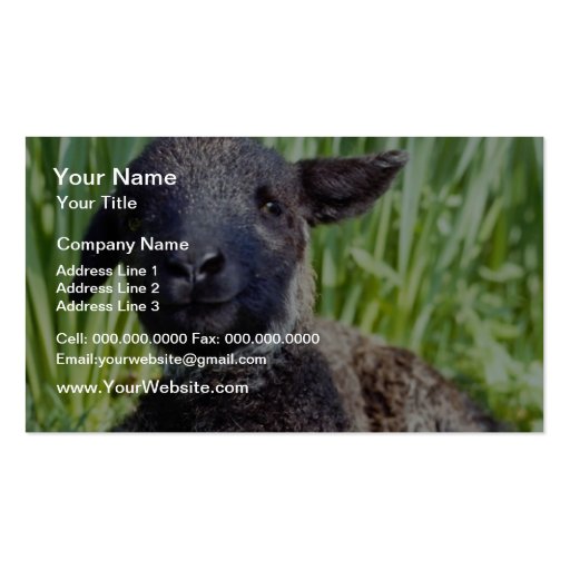 yellow Lamb in springtime, England flowers Business Card (front side)