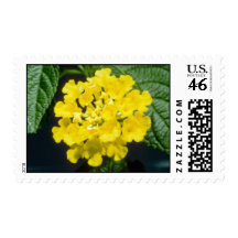 yellow Lantana camara flowers Stamp