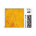 Yellow Leaf Macro Postage Stamp