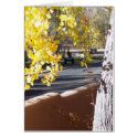 Yellow Leaves for Fall Foliage cards by Rebecca_Reeder Yellow Leaves for Fall Foliage cards