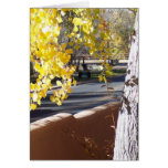 Yellow Leaves for Fall Foliage cards