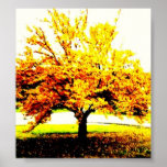Yellow Leaves Print