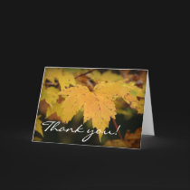 Yellow Leaves - Thank you! cards by clarionphoto Yellow Leaves - Thank you! cards