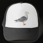 Yellow Legged Gull hats