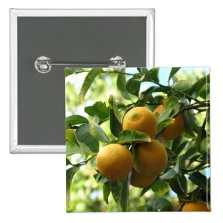 Yellow Lemons On The Tree Pin