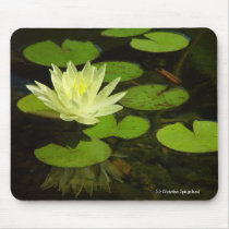 Yellow Lilie Flower, Mousepad. by TrailsThroughNature Yellow Lilie Flower, Mousepad.