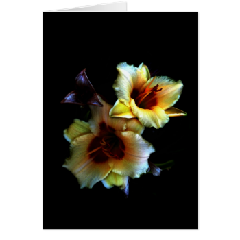Yellow Lilies Glow Card