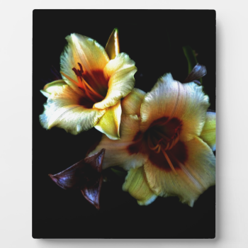 Yellow Lilies Glow Plaque