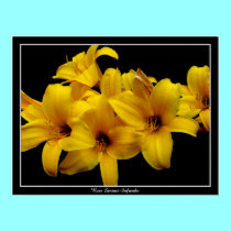 " Yellow Lilies " Print by Artists4God " Yellow Lilies " Print