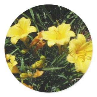 Yellow Lilies Sticker sticker