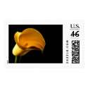 Yellow Lilly Calla Cala Lily Wedding Postage postage