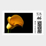 Yellow Lilly Calla Cala Lily Wedding Postage stamps