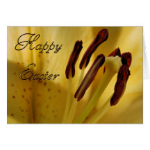 Yellow Lilly Greeting Cards