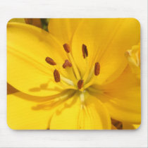 Yellow Lilly mousepads by hcaye1988 Yellow Lilly mousepads