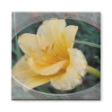 Yellow Lily magnets by toots1 Yellow Lily magnets