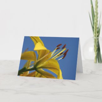 Yellow Lily Mother's Day Card