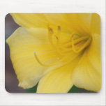 Yellow Lily mousepad
