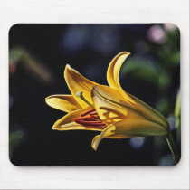 Yellow Lily Mousepad mousepads