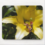 Yellow Lily mousepads
