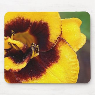 Yellow Lily, No Border Mousepad