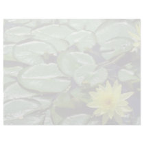 yellow Lily pads flowers Personalized Letterhead