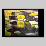 Yellow Lily Pads posters