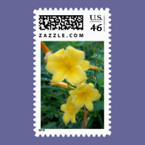 yellow lily stamps