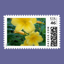 yellow lily stamps