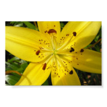 Yellow lily posters