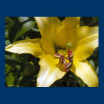 Yellow Lily posters