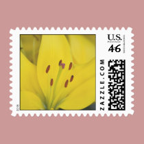 Yellow Lily stamps