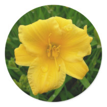 Yellow lily stickers