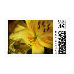 Yellow Lily Wedding Flowers Postage Stamps