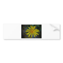 Yellow Magic Bumper Sticker